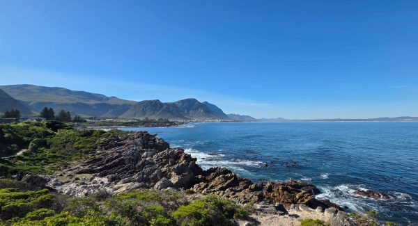 Hermanus View